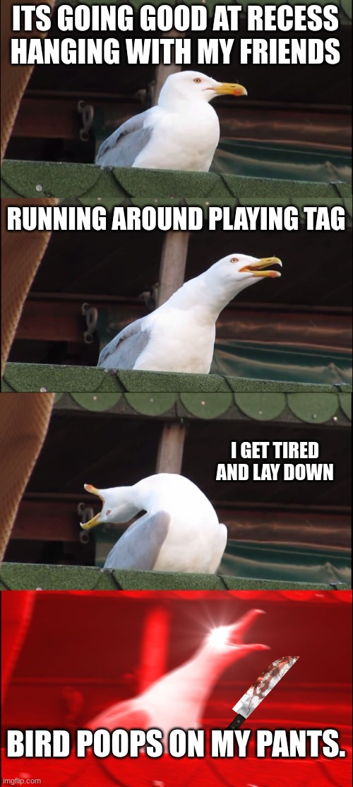 bruhhhhh | ITS GOING GOOD AT RECESS HANGING WITH MY FRIENDS; RUNNING AROUND PLAYING TAG; I GET TIRED AND LAY DOWN; BIRD POOPS ON MY PANTS. | image tagged in memes,inhaling seagull | made w/ Imgflip meme maker