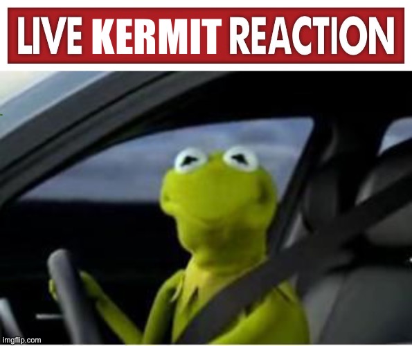 Live Kermit reaction | KERMIT | image tagged in live x reaction,kermit the frog,live kermit reaction,original meme | made w/ Imgflip meme maker