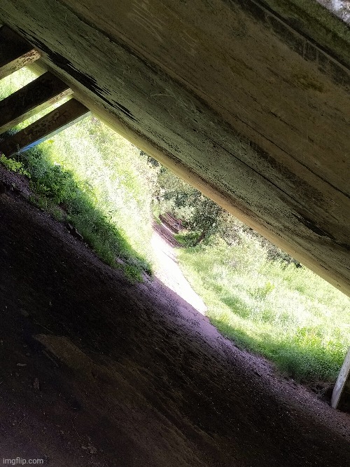 Took this photo actually, I was taking a stroll. (That place has great reverb too-) | made w/ Imgflip meme maker