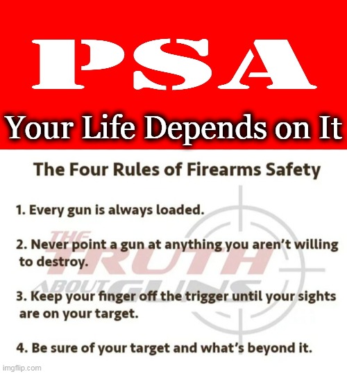 For Good Guys With Guns | Your Life Depends on It | image tagged in politics,conservatives,good guys with guns,protection,psa,gun safety | made w/ Imgflip meme maker