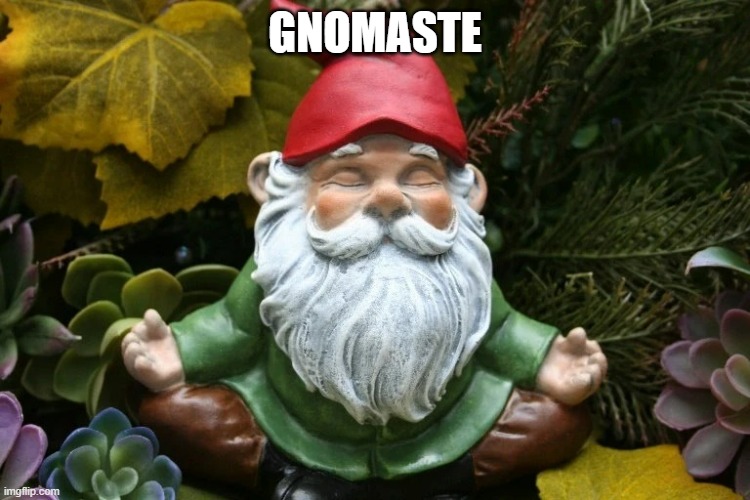 Gnomaste | GNOMASTE | image tagged in gnomaste | made w/ Imgflip meme maker