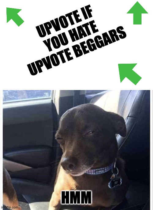 7 | UPVOTE IF YOU HATE UPVOTE BEGGARS; HMM | image tagged in wait a minute | made w/ Imgflip meme maker