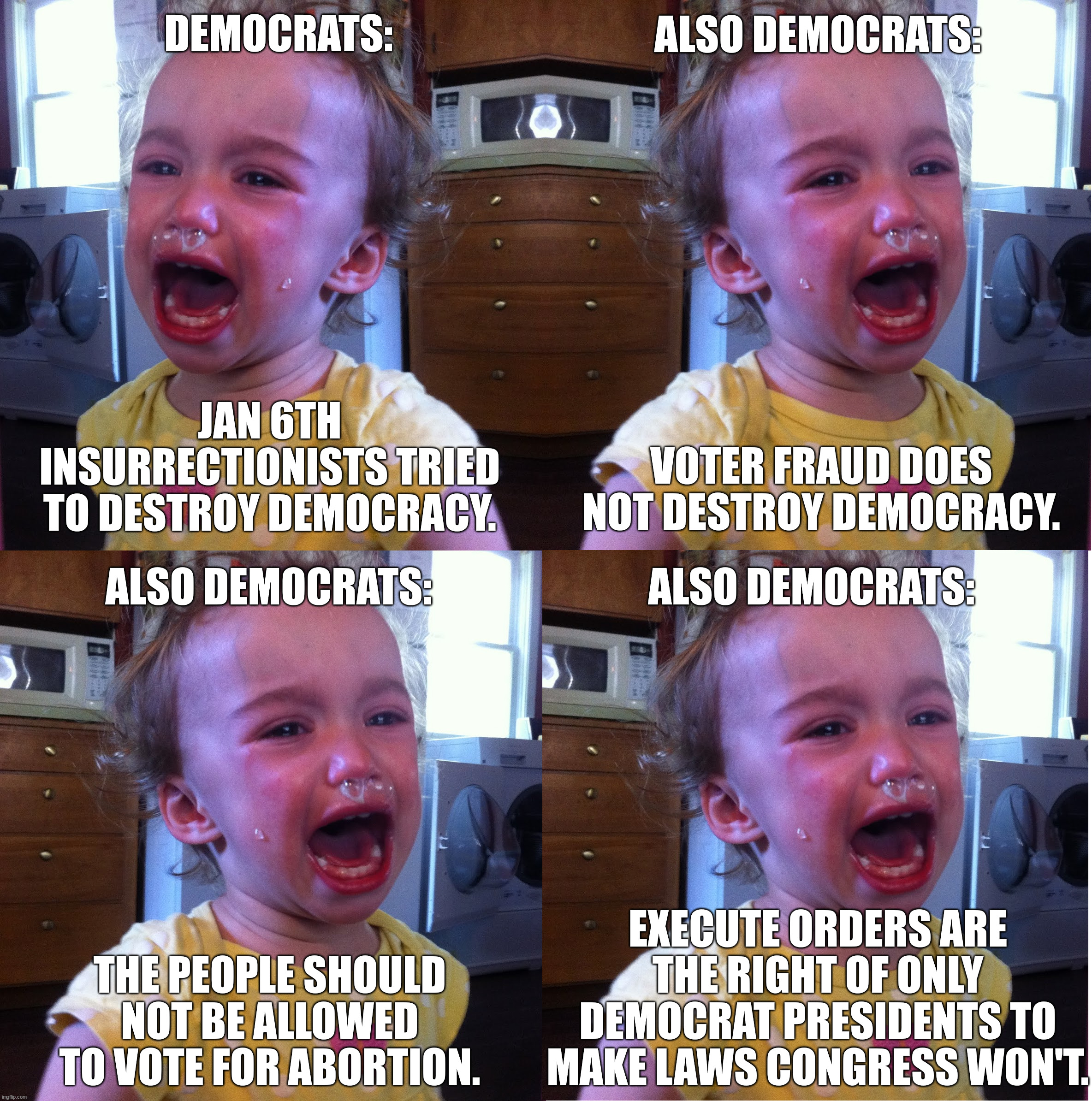 Democracy, the right of the people to vote to affect government, is what Democrats have been fighting against for a century. | DEMOCRATS:; ALSO DEMOCRATS:; JAN 6TH INSURRECTIONISTS TRIED TO DESTROY DEMOCRACY. VOTER FRAUD DOES NOT DESTROY DEMOCRACY. ALSO DEMOCRATS:; ALSO DEMOCRATS:; EXECUTE ORDERS ARE THE RIGHT OF ONLY DEMOCRAT PRESIDENTS TO MAKE LAWS CONGRESS WON'T. THE PEOPLE SHOULD NOT BE ALLOWED TO VOTE FOR ABORTION. | image tagged in democrat authoritarians,liberal fascism,rule by force | made w/ Imgflip meme maker