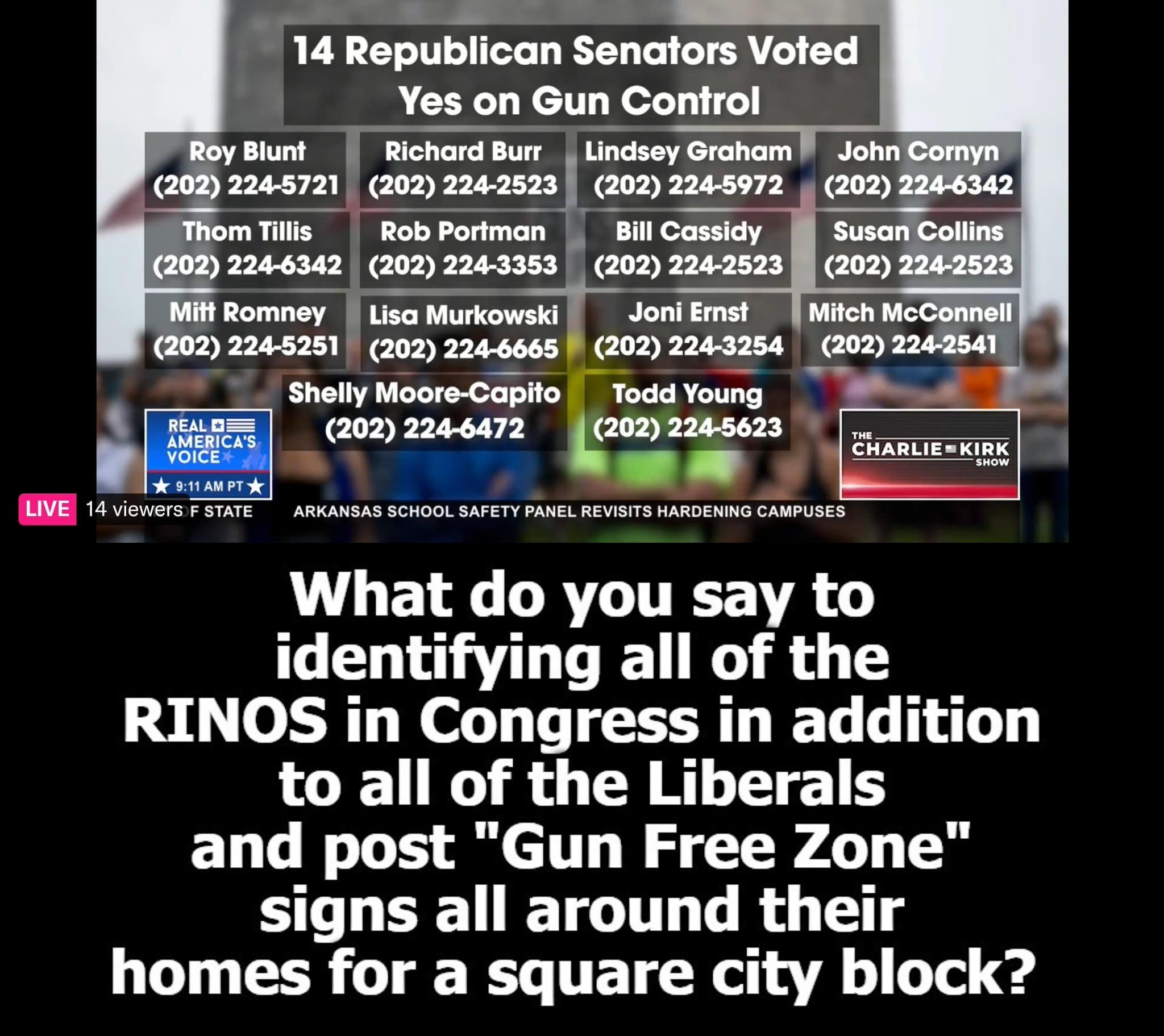 RINOS who voted for gun control. | image tagged in gun free zones,gun free zone,gun free zones for rinos and liberals,2nd amendment,traitors | made w/ Imgflip meme maker