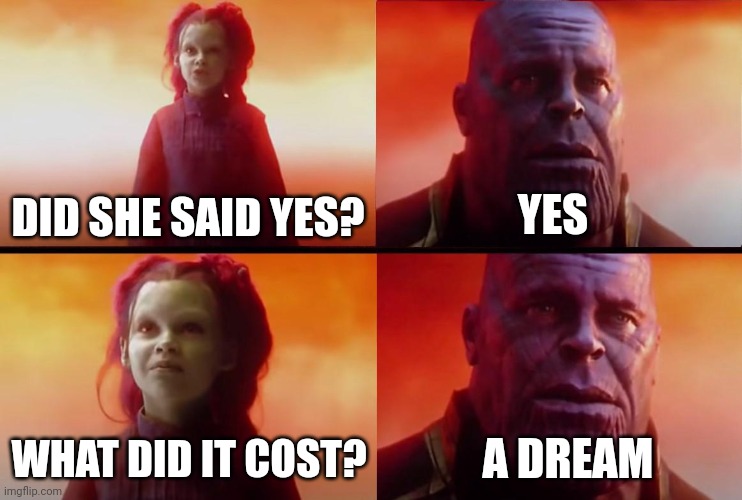 thanos what did it cost | YES; DID SHE SAID YES? WHAT DID IT COST? A DREAM | image tagged in thanos what did it cost | made w/ Imgflip meme maker