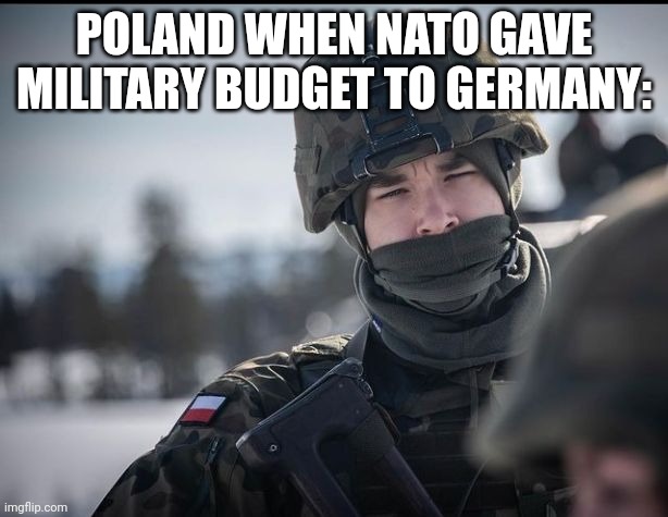 POLAND WHEN NATO GAVE MILITARY BUDGET TO GERMANY: | image tagged in war,poland,germany,german,army,misunderstanding | made w/ Imgflip meme maker