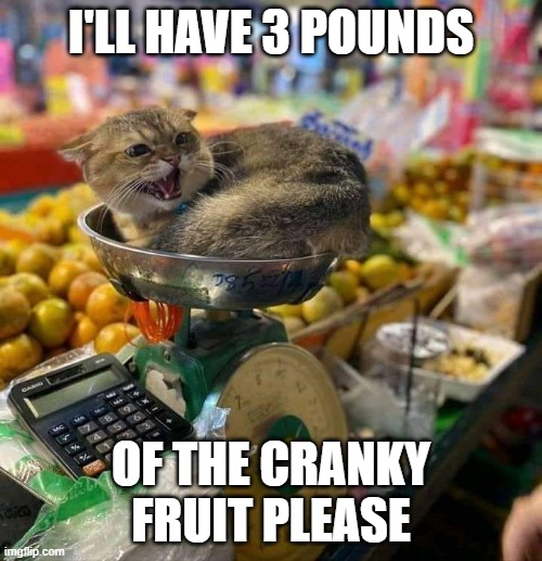 I'LL HAVE 3 POUNDS; OF THE CRANKY FRUIT PLEASE | image tagged in grumpy cat,cat,groceries | made w/ Imgflip meme maker