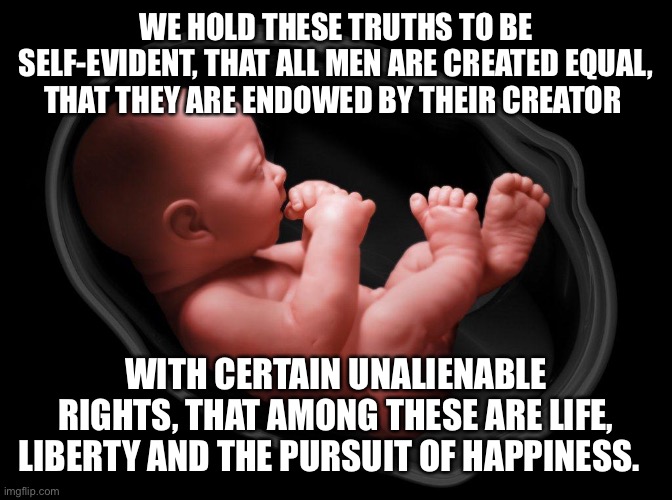 Right to Life |  WE HOLD THESE TRUTHS TO BE SELF-EVIDENT, THAT ALL MEN ARE CREATED EQUAL, THAT THEY ARE ENDOWED BY THEIR CREATOR; WITH CERTAIN UNALIENABLE RIGHTS, THAT AMONG THESE ARE LIFE, LIBERTY AND THE PURSUIT OF HAPPINESS. | image tagged in baby in womb,abortion | made w/ Imgflip meme maker