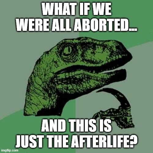 Disney's new "What if" | WHAT IF WE WERE ALL ABORTED... AND THIS IS JUST THE AFTERLIFE? | image tagged in memes,philosoraptor,abortion,afterlife,what if,life and death | made w/ Imgflip meme maker