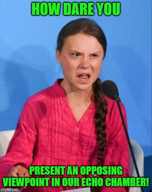 Greta Thunberg how dare you | HOW DARE YOU PRESENT AN OPPOSING VIEWPOINT IN OUR ECHO CHAMBER! | image tagged in greta thunberg how dare you | made w/ Imgflip meme maker