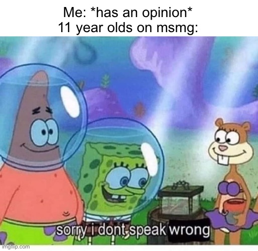 sorry i dont speak wrong | Me: *has an opinion*
11 year olds on msmg: | image tagged in sorry i dont speak wrong | made w/ Imgflip meme maker