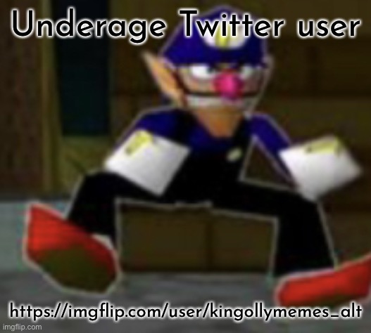 wah male | Underage Twitter user; https://imgflip.com/user/kingollymemes_alt | image tagged in wah male | made w/ Imgflip meme maker