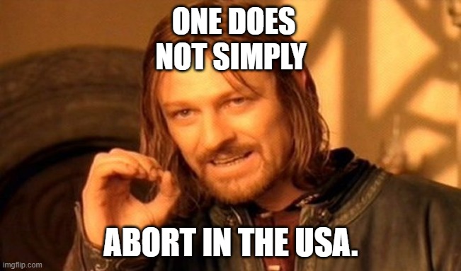 One does not mission control | ONE DOES NOT SIMPLY; ABORT IN THE USA. | image tagged in memes,one does not simply,abortion,medusa,made in usa,abort mission | made w/ Imgflip meme maker
