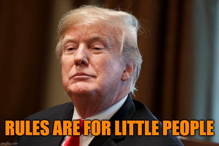 RULES ARE FOR LITTLE PEOPLE | image tagged in trump | made w/ Imgflip meme maker