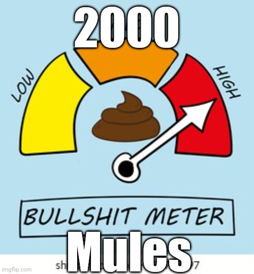 The measure of a dimocrat... | 2000 Mules | image tagged in the measure of a dimocrat | made w/ Imgflip meme maker