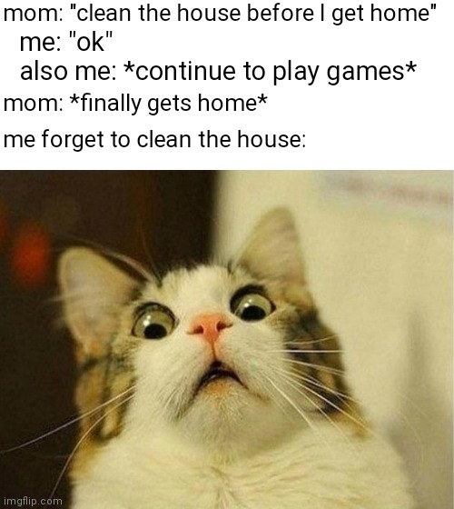 [story mode] ¿ | mom: "clean the house before I get home"; me: "ok"
also me: *continue to play games*; mom: *finally gets home*; me forget to clean the house: | image tagged in memes,scared cat,funny,cats,relatable,mom | made w/ Imgflip meme maker