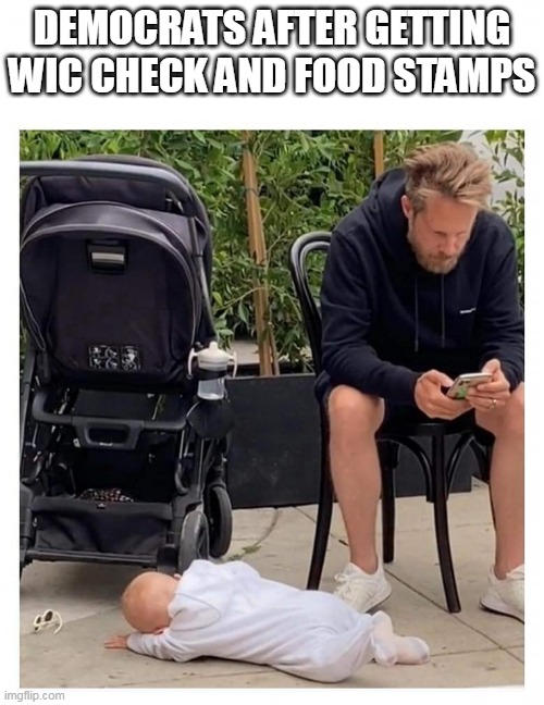 Democrats on phone | DEMOCRATS AFTER GETTING WIC CHECK AND FOOD STAMPS | image tagged in man on phone baby on ground,democrats,phone | made w/ Imgflip meme maker