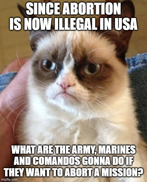 Army missions problems | SINCE ABORTION IS NOW ILLEGAL IN USA; WHAT ARE THE ARMY, MARINES AND COMANDOS GONNA DO IF THEY WANT TO ABORT A MISSION? | image tagged in memes,grumpy cat,army,commandos,mission not aborted,abortion | made w/ Imgflip meme maker