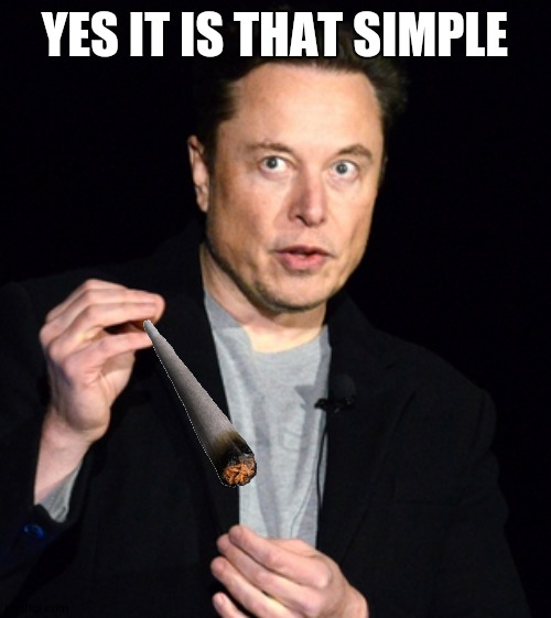 musk |  YES IT IS THAT SIMPLE | image tagged in musk | made w/ Imgflip meme maker