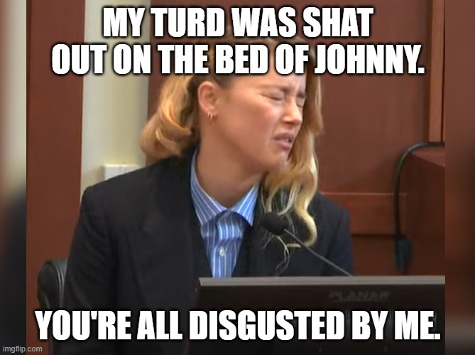 Her turd is more important to her than the baby. |  MY TURD WAS SHAT OUT ON THE BED OF JOHNNY. YOU'RE ALL DISGUSTED BY ME. | image tagged in amber heard dog stepped on a bee,amber heard,ambore turd,johnny deep,turd | made w/ Imgflip meme maker
