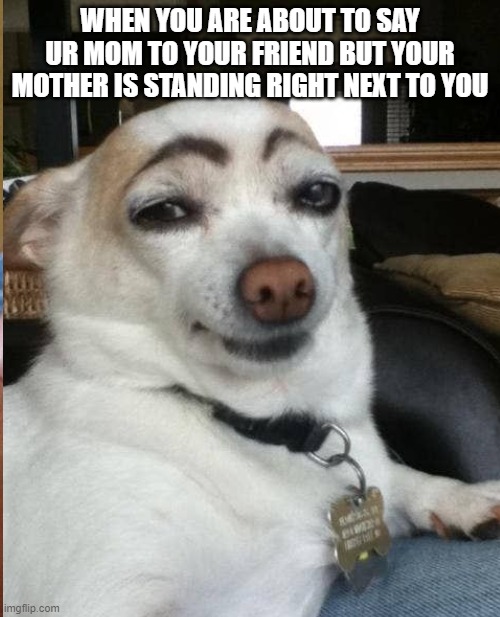 WHEN YOU ARE ABOUT TO SAY UR MOM TO YOUR FRIEND BUT YOUR MOTHER IS STANDING RIGHT NEXT TO YOU | made w/ Imgflip meme maker