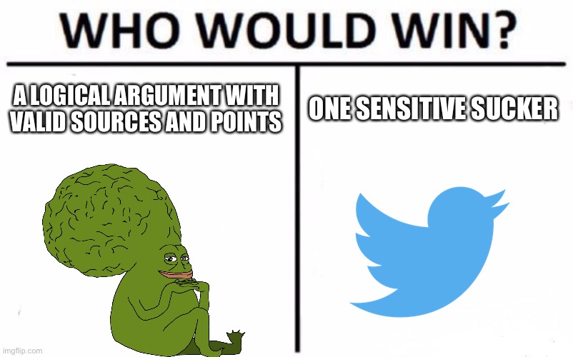 Awe are you sad snowflake? | A LOGICAL ARGUMENT WITH VALID SOURCES AND POINTS; ONE SENSITIVE SUCKER | image tagged in memes,who would win | made w/ Imgflip meme maker