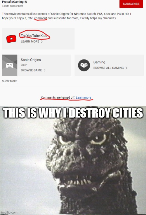 So I thought the Sonic vids being made for kids problem would get better...but no, YT didn't give a sh*t |  THIS IS WHY I DESTROY CITIES | image tagged in godzilla this is why i destroy cities | made w/ Imgflip meme maker