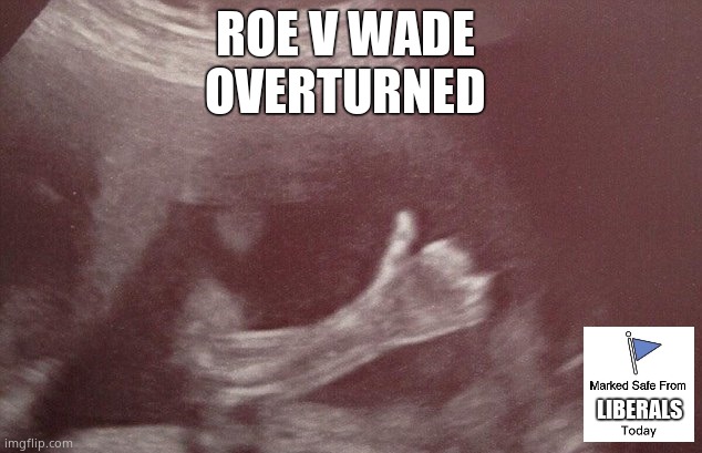 Baby Thumbs Up | ROE V WADE 
OVERTURNED; LIBERALS | image tagged in memes,scotus,democrats,liberals,prolife,political meme | made w/ Imgflip meme maker
