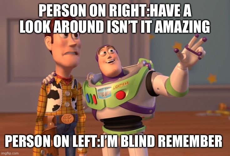 Amazing view | PERSON ON RIGHT:HAVE A LOOK AROUND ISN’T IT AMAZING; PERSON ON LEFT:I’M BLIND REMEMBER | image tagged in memes,x x everywhere | made w/ Imgflip meme maker