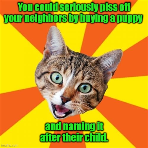 Sound advice. |  You could seriously piss off your neighbors by buying a puppy; and naming it after their child. | image tagged in memes,bad advice cat,funny | made w/ Imgflip meme maker