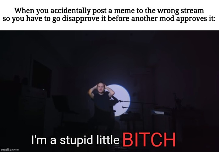 I'm a stupid little bitch | When you accidentally post a meme to the wrong stream so you have to go disapprove it before another mod approves it: | image tagged in i'm a stupid little bitch | made w/ Imgflip meme maker