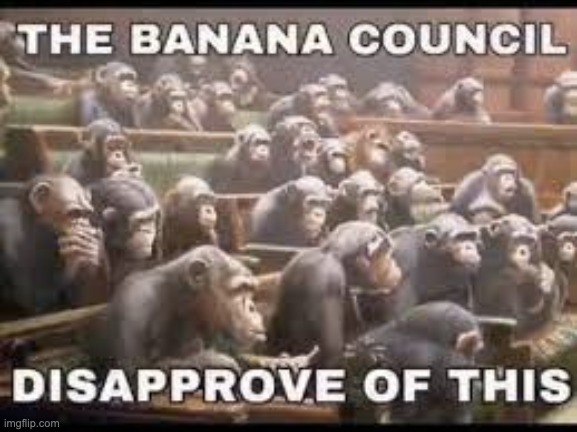 the banana council, disapproves of this... | image tagged in monke,ape,gorilla,banana,monkey x banana,monke love | made w/ Imgflip meme maker