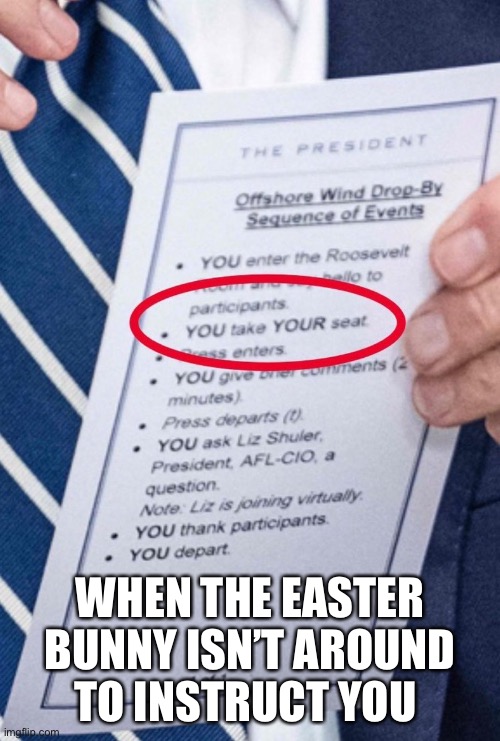 Do what next ? | WHEN THE EASTER BUNNY ISN’T AROUND TO INSTRUCT YOU | image tagged in politics,funny | made w/ Imgflip meme maker