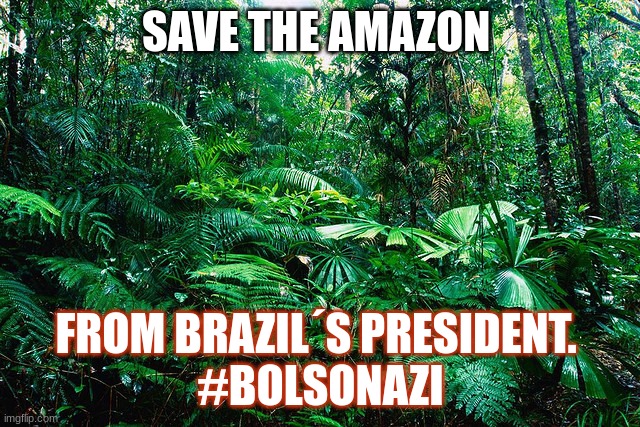 tropical_ rainforest | SAVE THE AMAZON; FROM BRAZIL´S PRESIDENT. 
#BOLSONAZI | image tagged in tropical_ rainforest | made w/ Imgflip meme maker