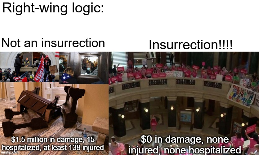 Right-wingers are brain dead. |  Right-wing logic:; Not an insurrection; Insurrection!!!! $1.5 million in damage, 15 hospitalized, at least 138 injured; $0 in damage, none injured, none hospitalized | image tagged in insurrection,capitol riot,trump,maga,conservative logic,january 6 | made w/ Imgflip meme maker
