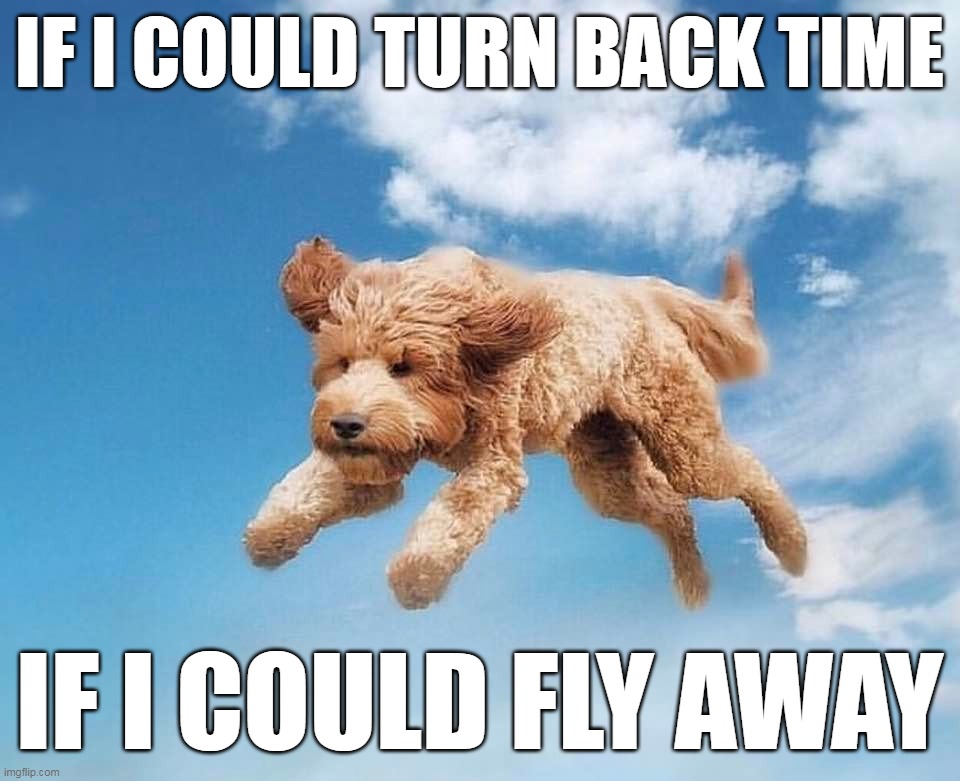 To Always Be with Them | IF I COULD TURN BACK TIME; IF I COULD FLY AWAY | image tagged in meme,memes,humor,dog,dogs | made w/ Imgflip meme maker