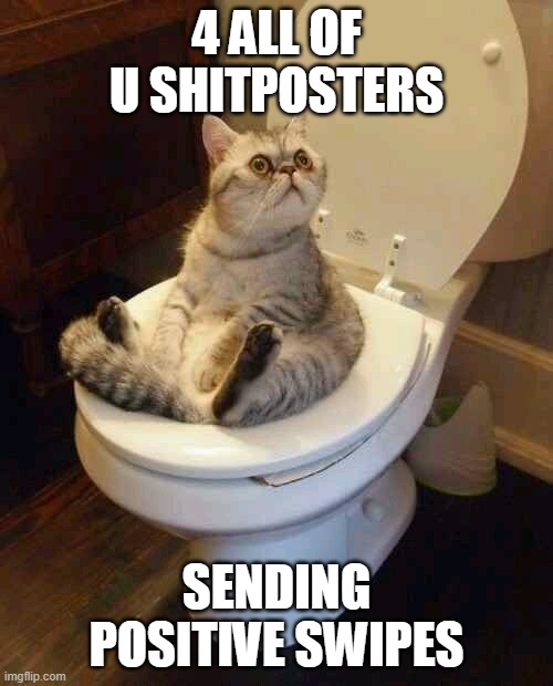Toilet cat | 4 ALL OF U SHITPOSTERS; SENDING POSITIVE SWIPES | image tagged in toilet cat | made w/ Imgflip meme maker