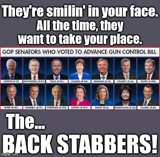 They're smilin' in your face. All the time, they want to take your place. The... BACK STABBERS! | image tagged in rinos,back stabbers,gun control | made w/ Imgflip meme maker