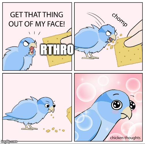 Bird Cracker | RTHRO | image tagged in bird cracker,rthro | made w/ Imgflip meme maker