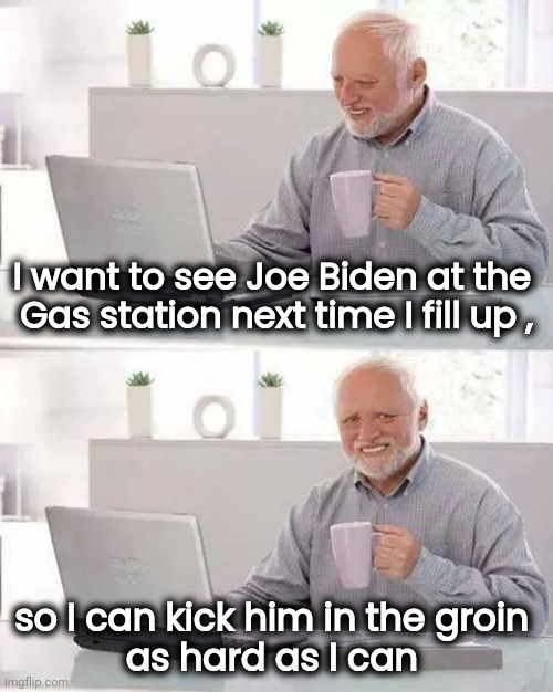 Not like we need him for anything | I want to see Joe Biden at the 
Gas station next time I fill up , so I can kick him in the groin 
as hard as I can | image tagged in memes,hide the pain harold,politicians suck,gas prices,suck it | made w/ Imgflip meme maker