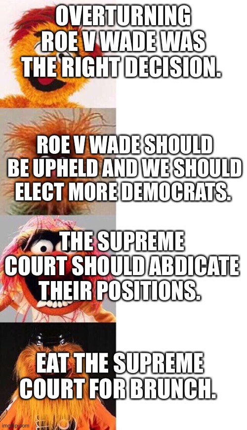 Muppets reaction to Roe v Wade | OVERTURNING ROE V WADE WAS THE RIGHT DECISION. ROE V WADE SHOULD BE UPHELD AND WE SHOULD ELECT MORE DEMOCRATS. THE SUPREME COURT SHOULD ABDICATE THEIR POSITIONS. EAT THE SUPREME COURT FOR BRUNCH. | image tagged in gritty brain | made w/ Imgflip meme maker