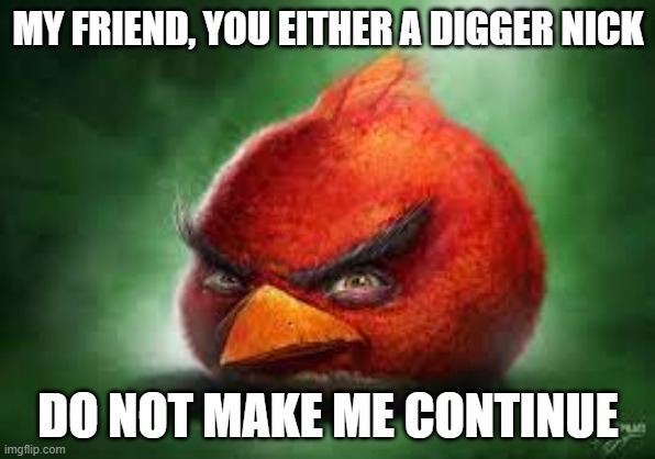 Realistic Red Angry Birds | MY FRIEND, YOU EITHER A DIGGER NICK; DO NOT MAKE ME CONTINUE | image tagged in realistic red angry birds | made w/ Imgflip meme maker