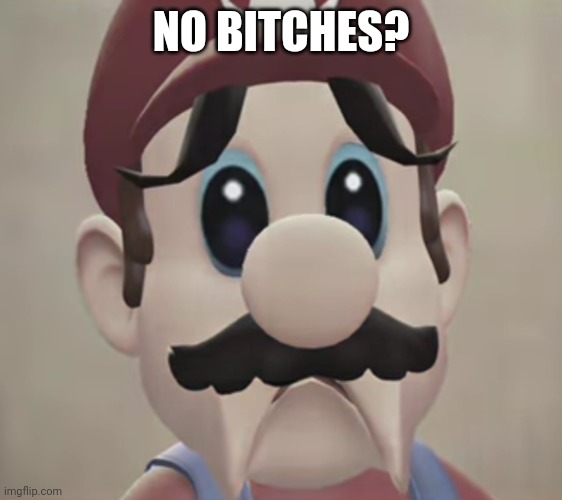 Sad Mario | NO BITCHES? | image tagged in sad mario | made w/ Imgflip meme maker