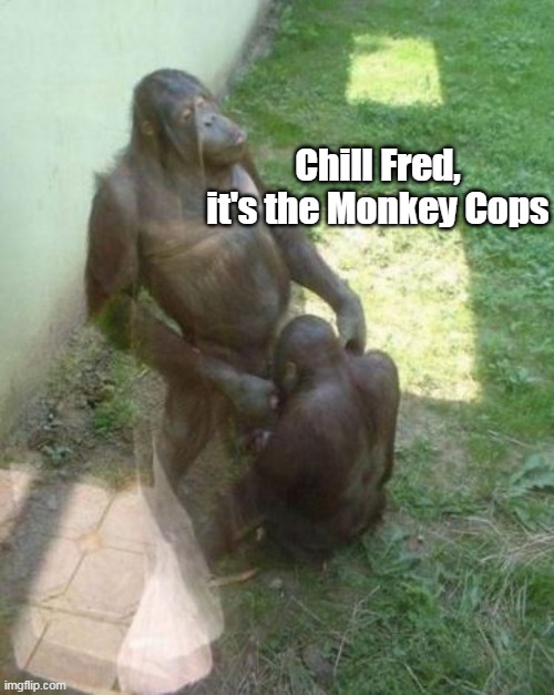 Chill Fred, it's the Monkey Cops | made w/ Imgflip meme maker