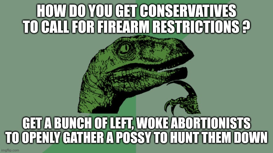 Own goal | HOW DO YOU GET CONSERVATIVES TO CALL FOR FIREARM RESTRICTIONS ? GET A BUNCH OF LEFT, WOKE ABORTIONISTS TO OPENLY GATHER A POSSY TO HUNT THEM DOWN | image tagged in philosophy dinosaur | made w/ Imgflip meme maker