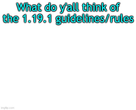 As a bedrock player, idk how this will affect the game since there is already a reporting system | What do y'all think of the 1.19.1 guidelines/rules | image tagged in minecraft | made w/ Imgflip meme maker