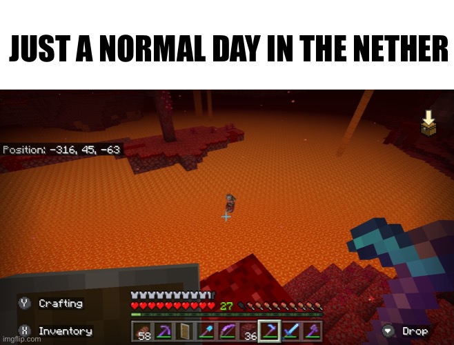 Has anyone ever seen this? |  JUST A NORMAL DAY IN THE NETHER | image tagged in nether | made w/ Imgflip meme maker
