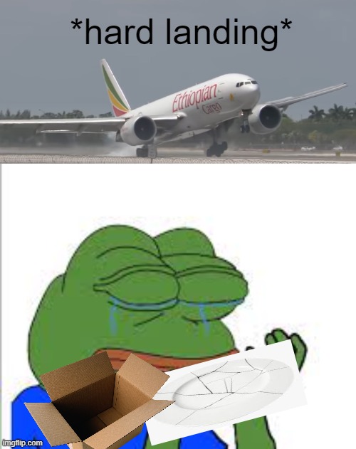 *hard landing* | image tagged in hardlanding | made w/ Imgflip meme maker