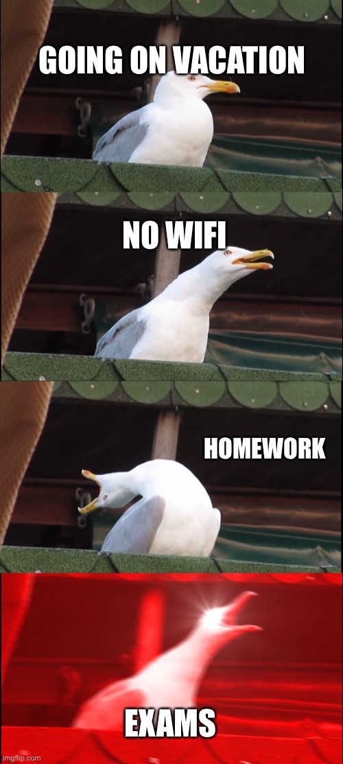 Vacation ->exams | GOING ON VACATION; NO WIFI; HOMEWORK; EXAMS | image tagged in memes,inhaling seagull | made w/ Imgflip meme maker