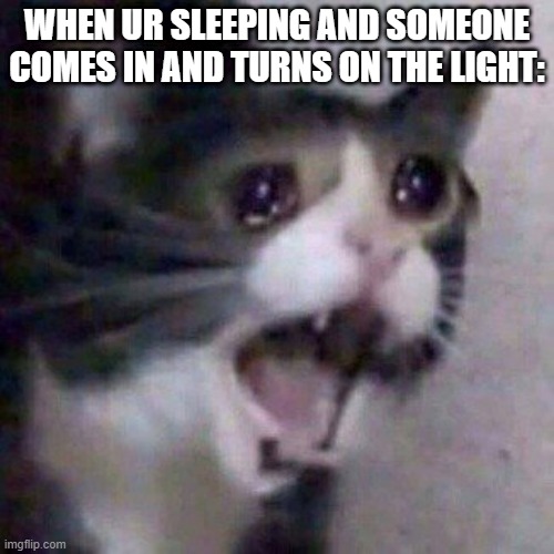 whoever does this is evil. | WHEN UR SLEEPING AND SOMEONE COMES IN AND TURNS ON THE LIGHT: | image tagged in screaming cat meme | made w/ Imgflip meme maker